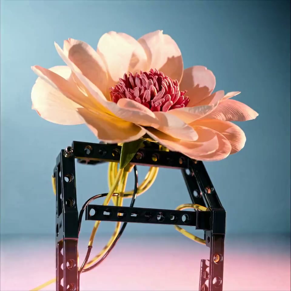 Vue du projet MECHANICAL FLOWER